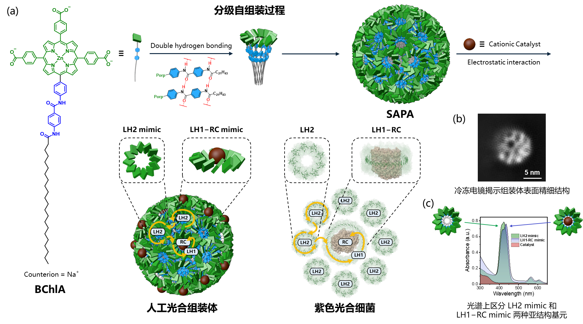 U020260225511969301443.png