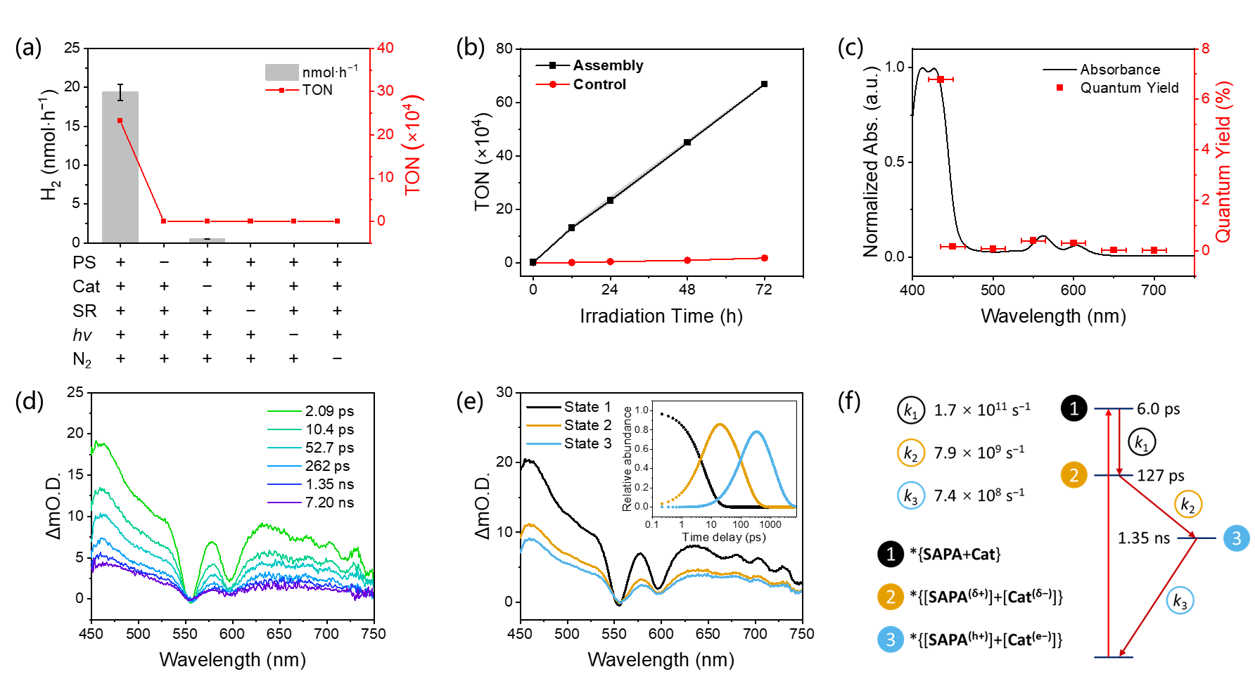 U020260225511970371895.png